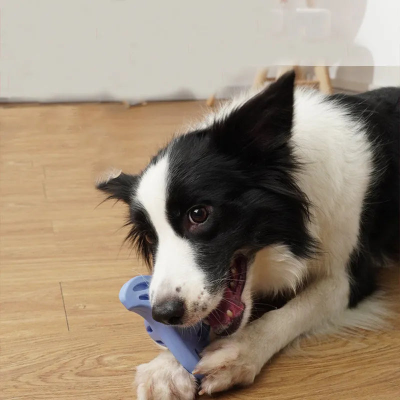 Blue plastic boomerang-shaped dog chew toy with textured molar edges for medium and large breed dogs