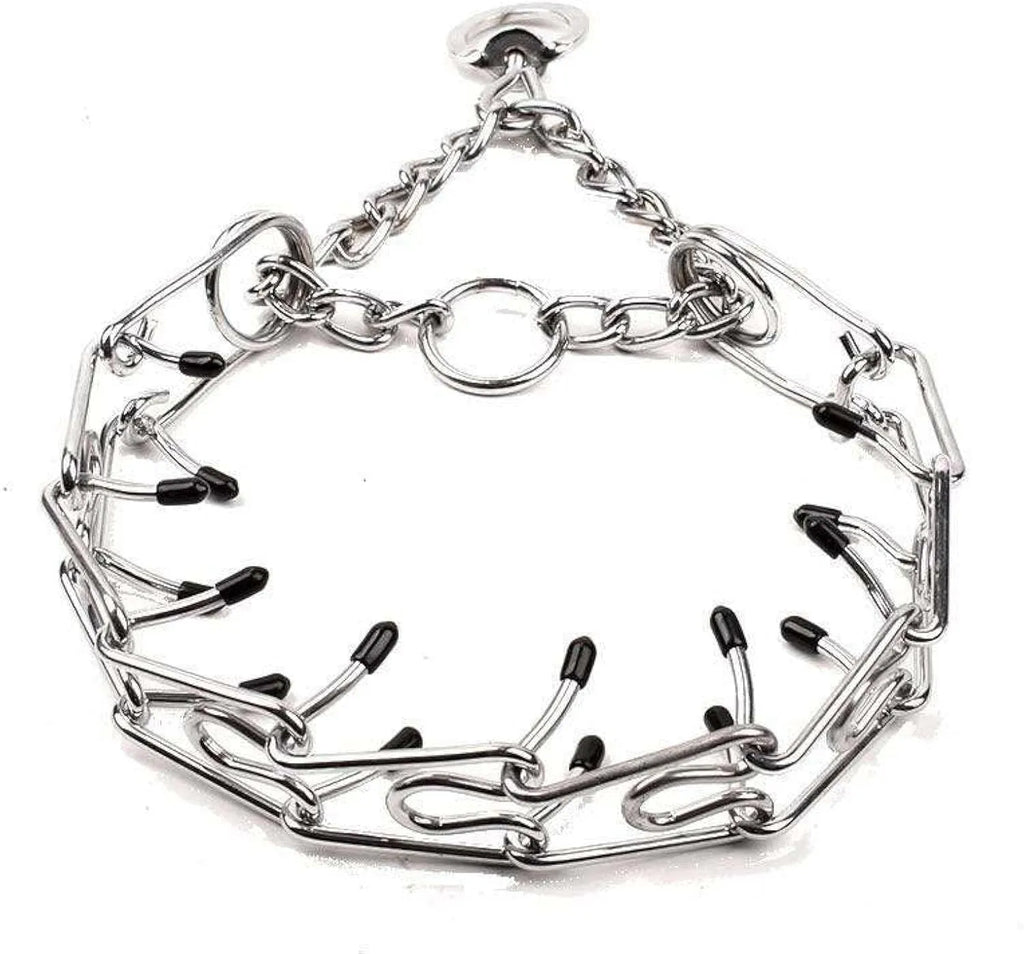 Stainless steel dog training pinch collar with rubber-tipped prongs and adjustable chain links