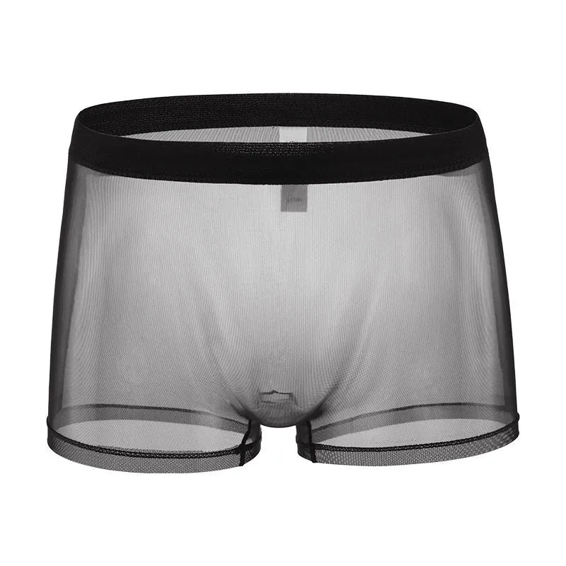 Men's mesh boxer briefs in thin sheer polyester fabric with low waist design for summer wear
