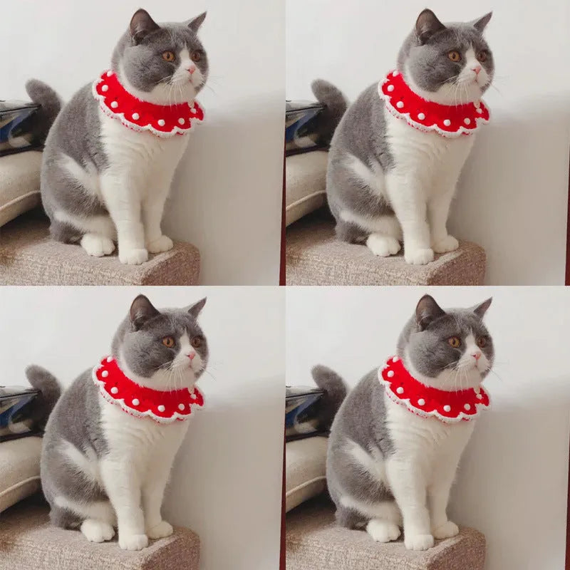Wool knitted pet collar with cartoon pattern in milk cotton showing four size options for dogs cats rabbits