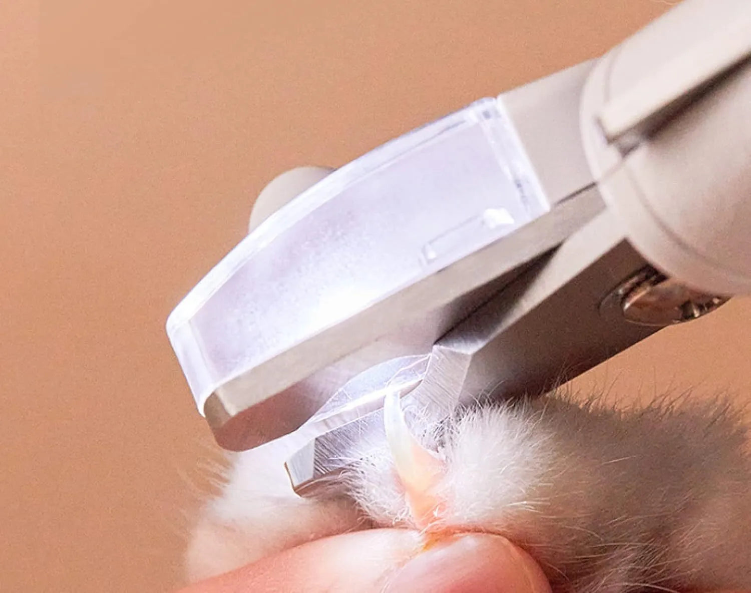 White LED pet nail clipper with a transparent anti-splash guard and a nail file on a white background.