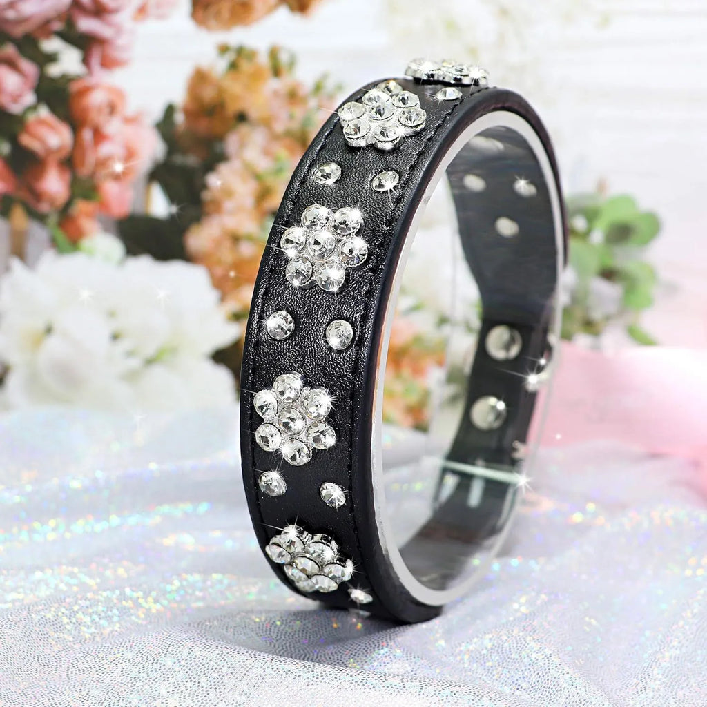 Black dog collar with studded rhinestone flower pattern and a metal D-ring on a white background