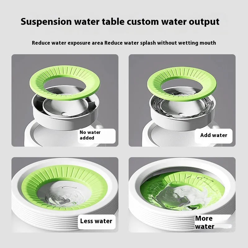 Green raised pet suspension bowl for dogs and cats on a white plate.