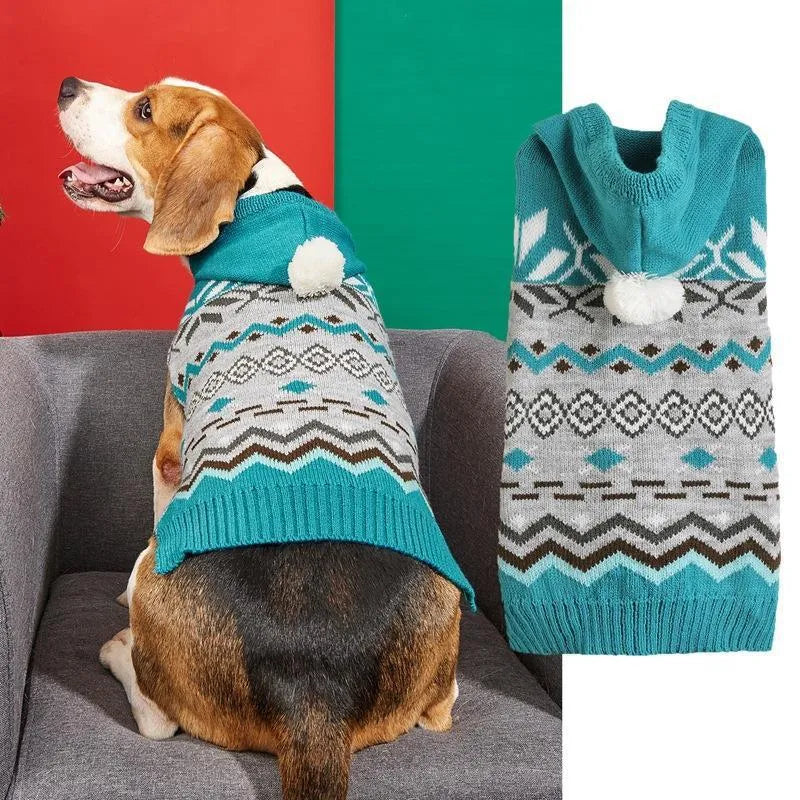 Green diamond pattern knit sweater on a small dog, showing the classic design and fit.