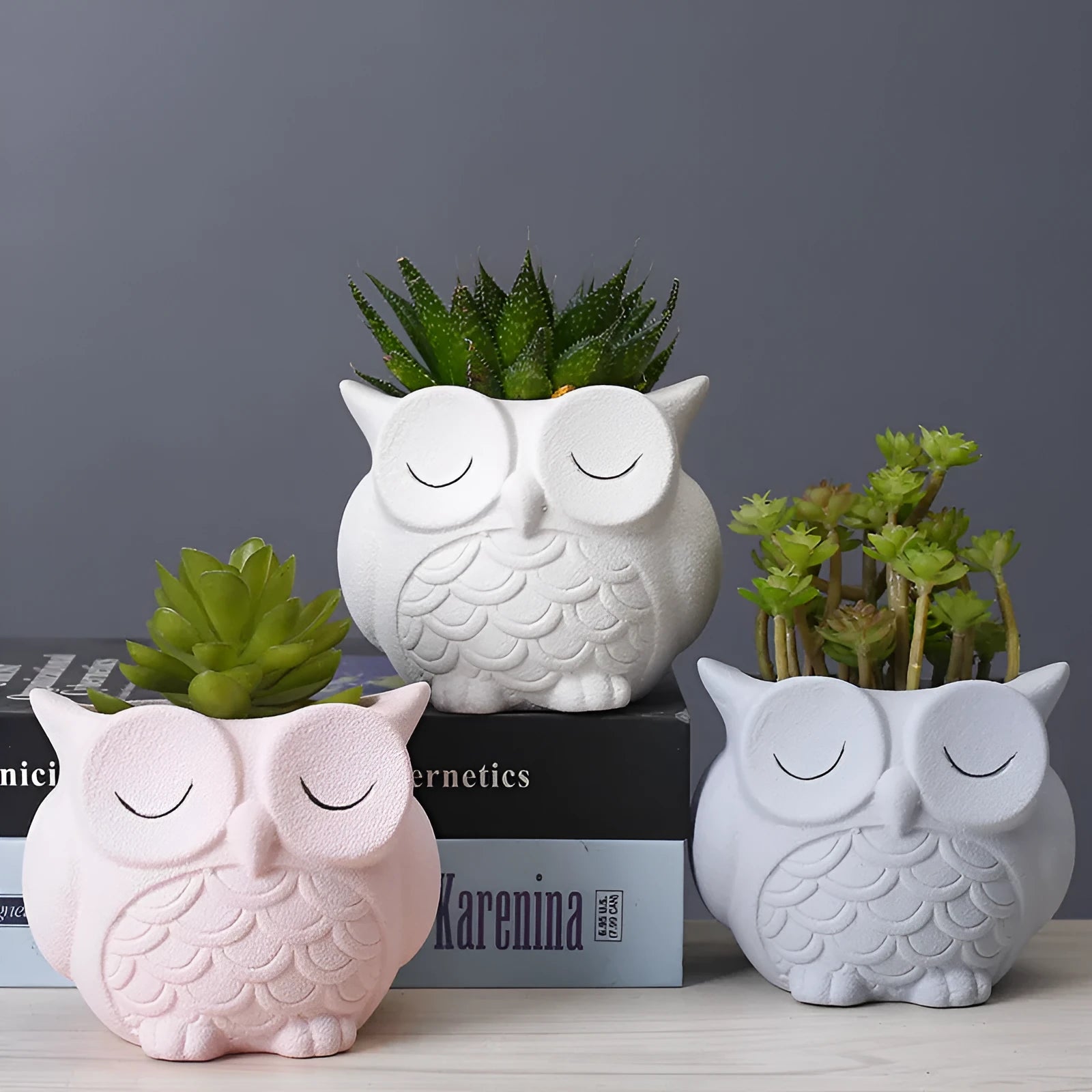 Handmade ceramic owl-design succulent pot in frosted light pink, white, green, or blue, measuring 11cm by 9cm.