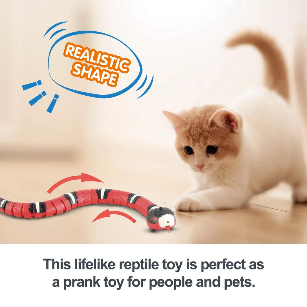 USB rechargeable automatic electronic snake cat toy with segmented plastic body on a floor.
