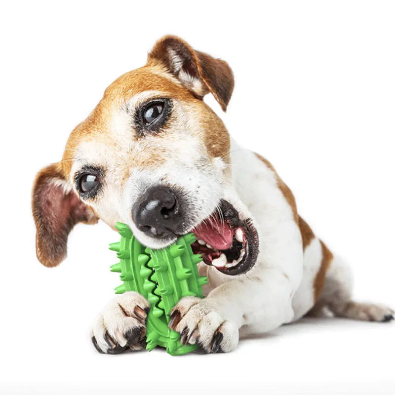 Green cactus-shaped dog toothbrush toy for dental cleaning with textured bumps
