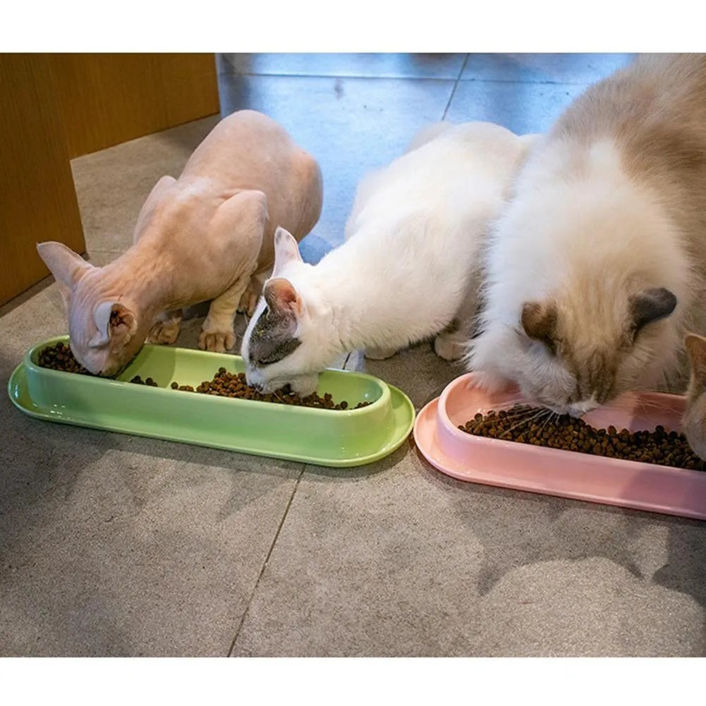 Green 4-piece pet feeder set with two bowls on a non-slip silicone mat
