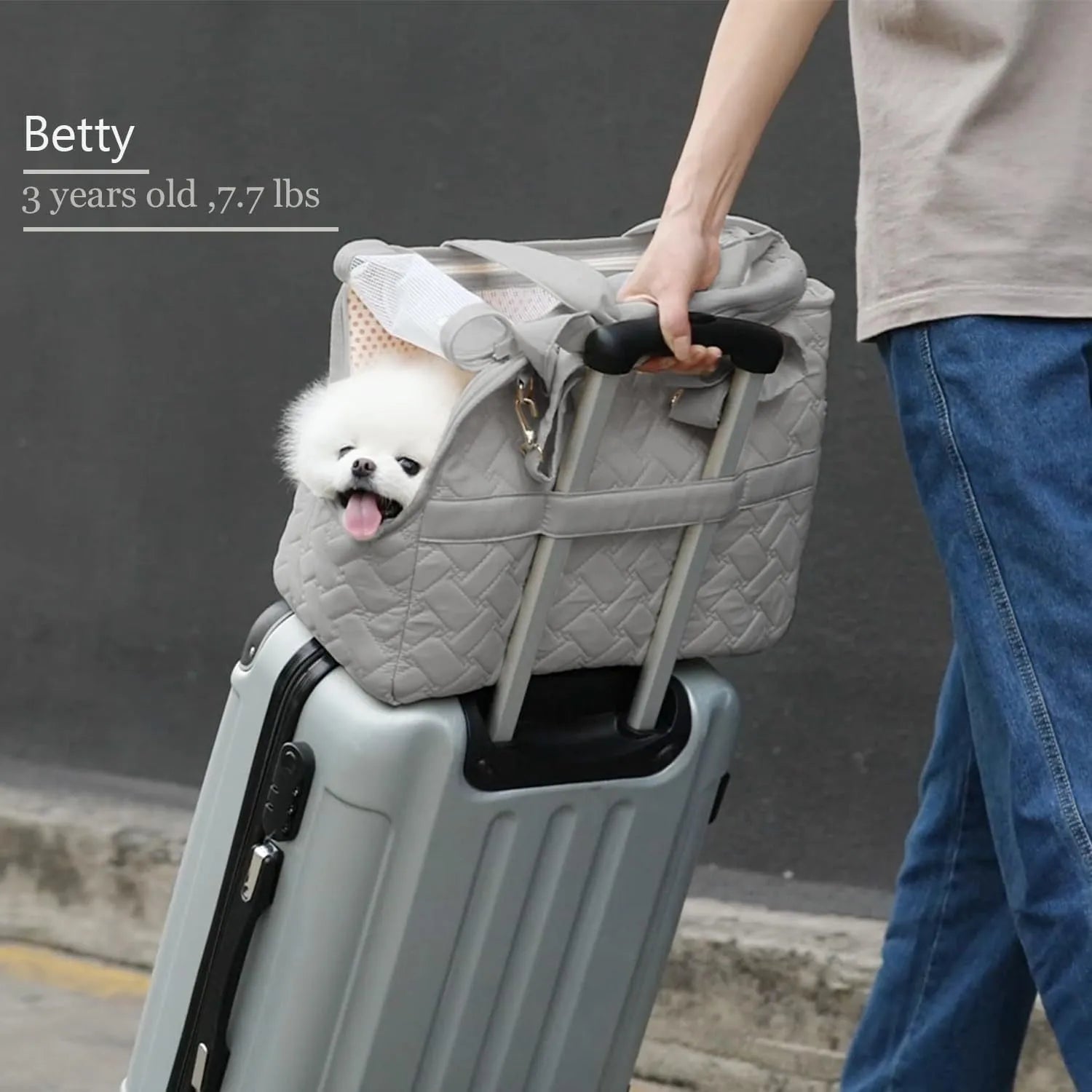 Grey pet carrier bag with mesh panels and handbag design for cats or small dogs
