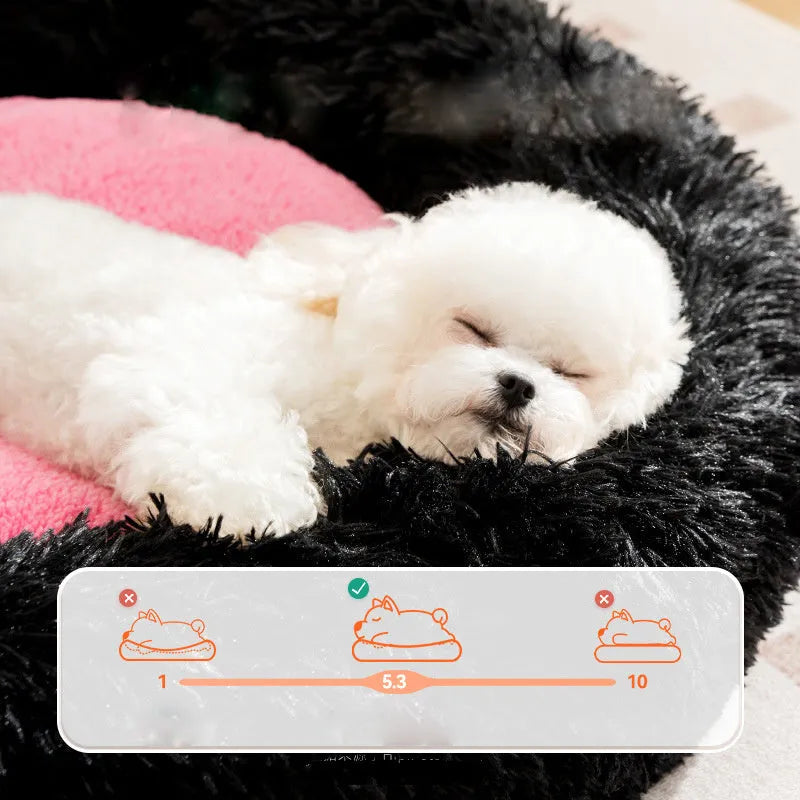 Blue plush pet bed with raised bolster edge, shown in a large size for dogs up to 15kg.