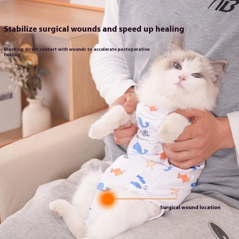Cat wearing a blue post-operative recovery bodysuit with Velcro straps after sterilisation surgery.