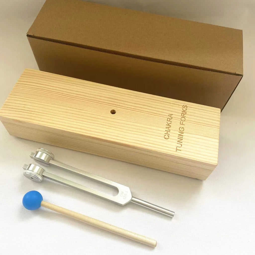 Aluminium alloy 432Hz tuning fork with speaker attachment in protective packaging