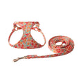 Floral pattern cloth pet harness with leash in orange colour showing single chest back design