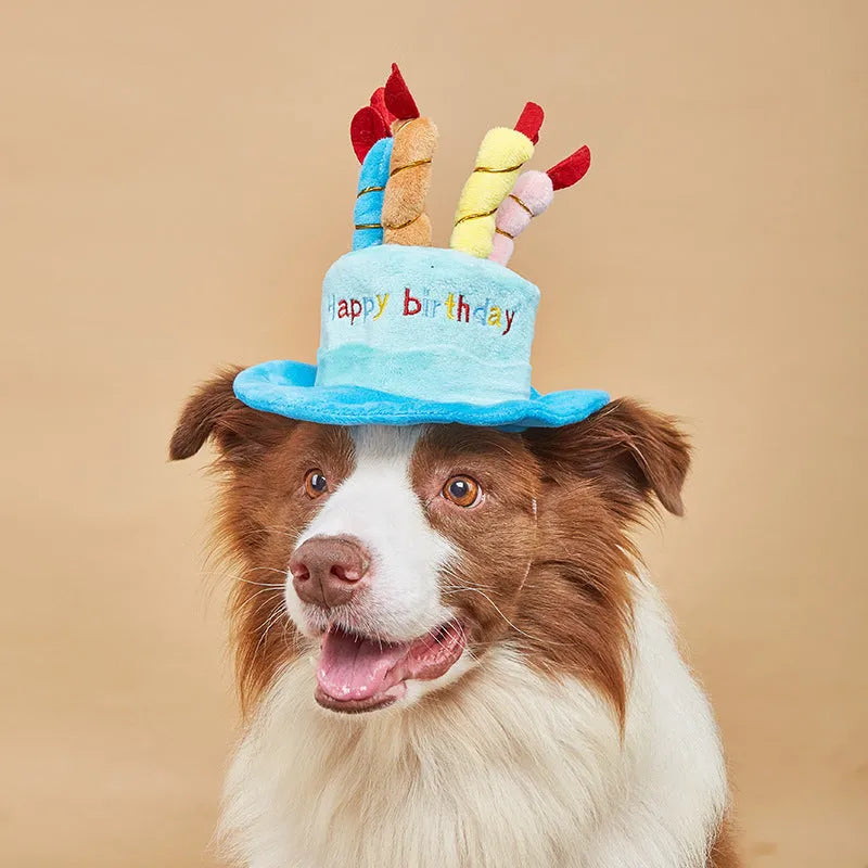 Blue and pink dog birthday hats for toy dog celebrations, showing 21cm wide decorative accessory