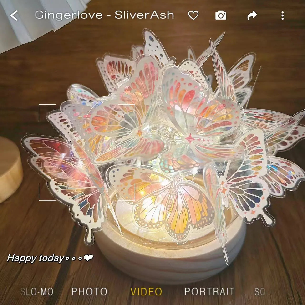 Butterfly-themed DIY night light with glass lampshade on a raw wood base.