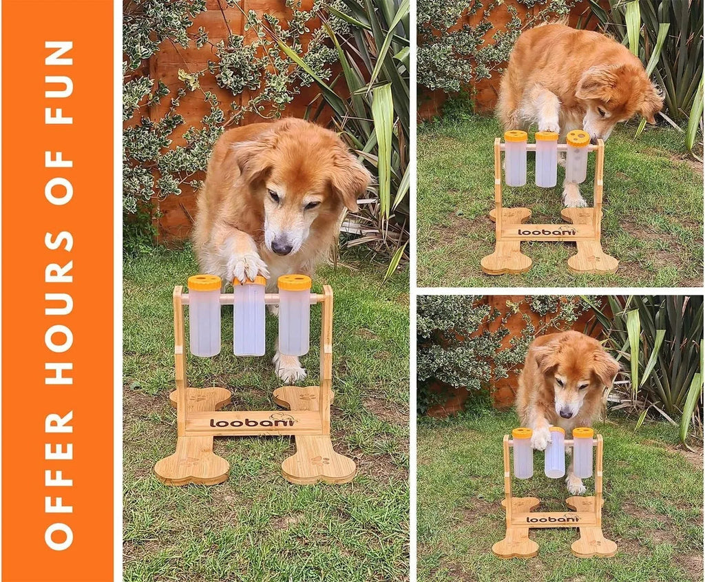 Wooden dog puzzle feeder with multiple compartments measuring 31×30×20cm