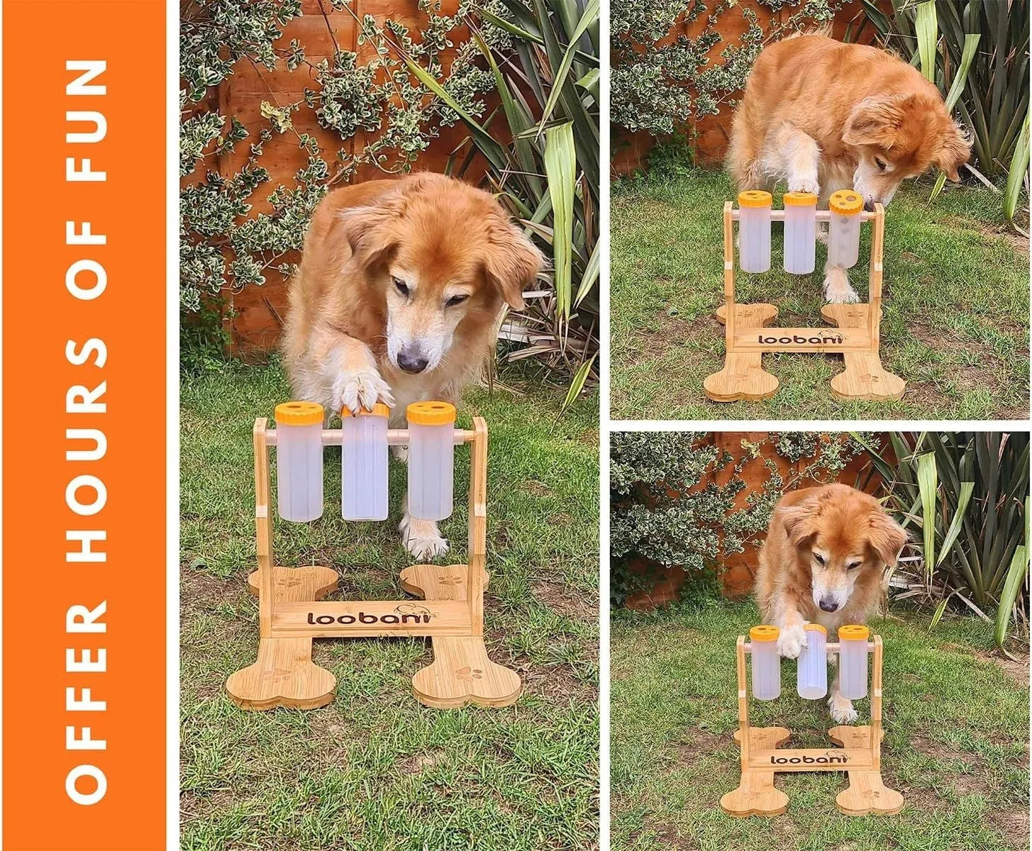 Wooden dog puzzle feeder with multiple compartments measuring 31×30×20cm