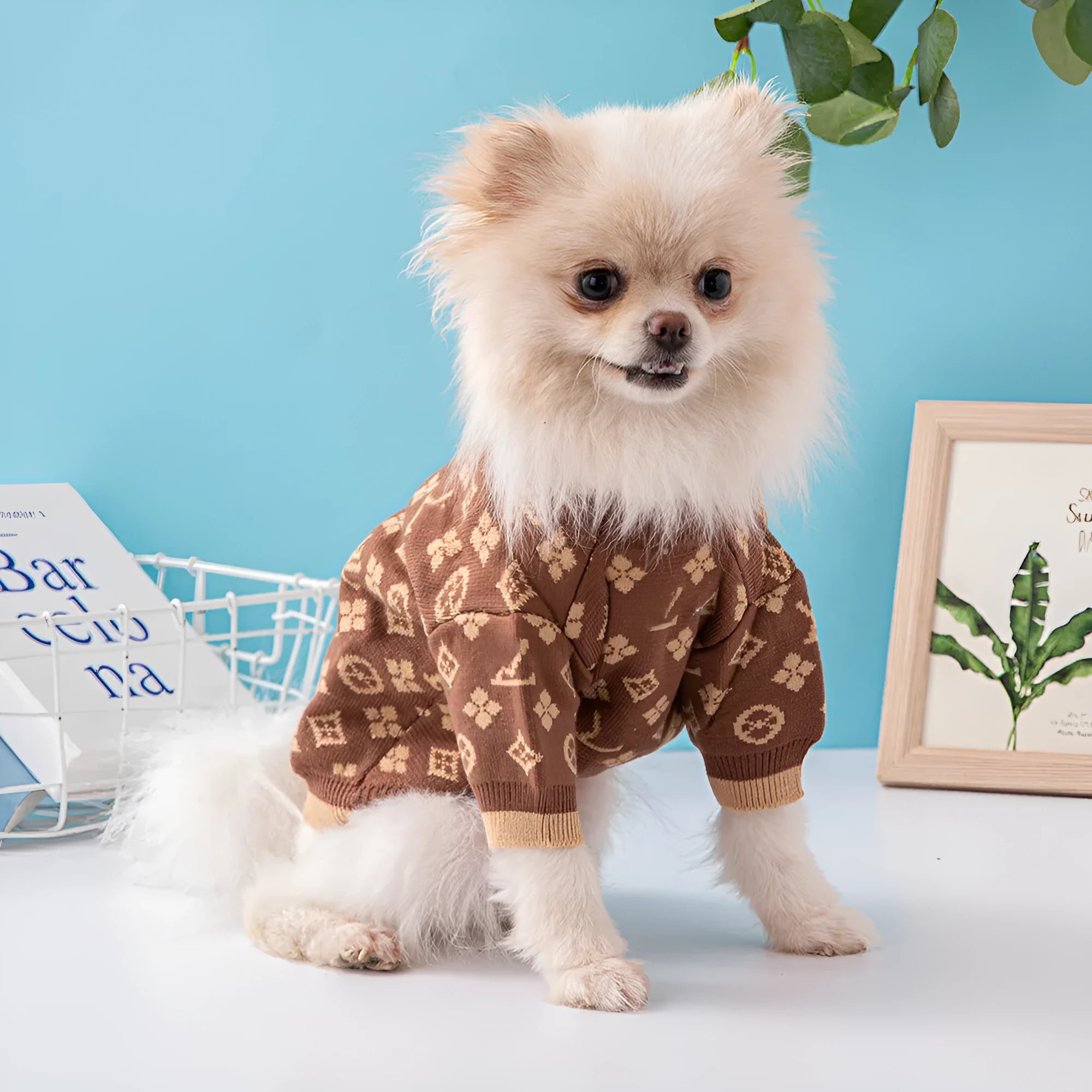 Thick wool dog jumper in monochrome or two-tone colours for autumn and winter wear