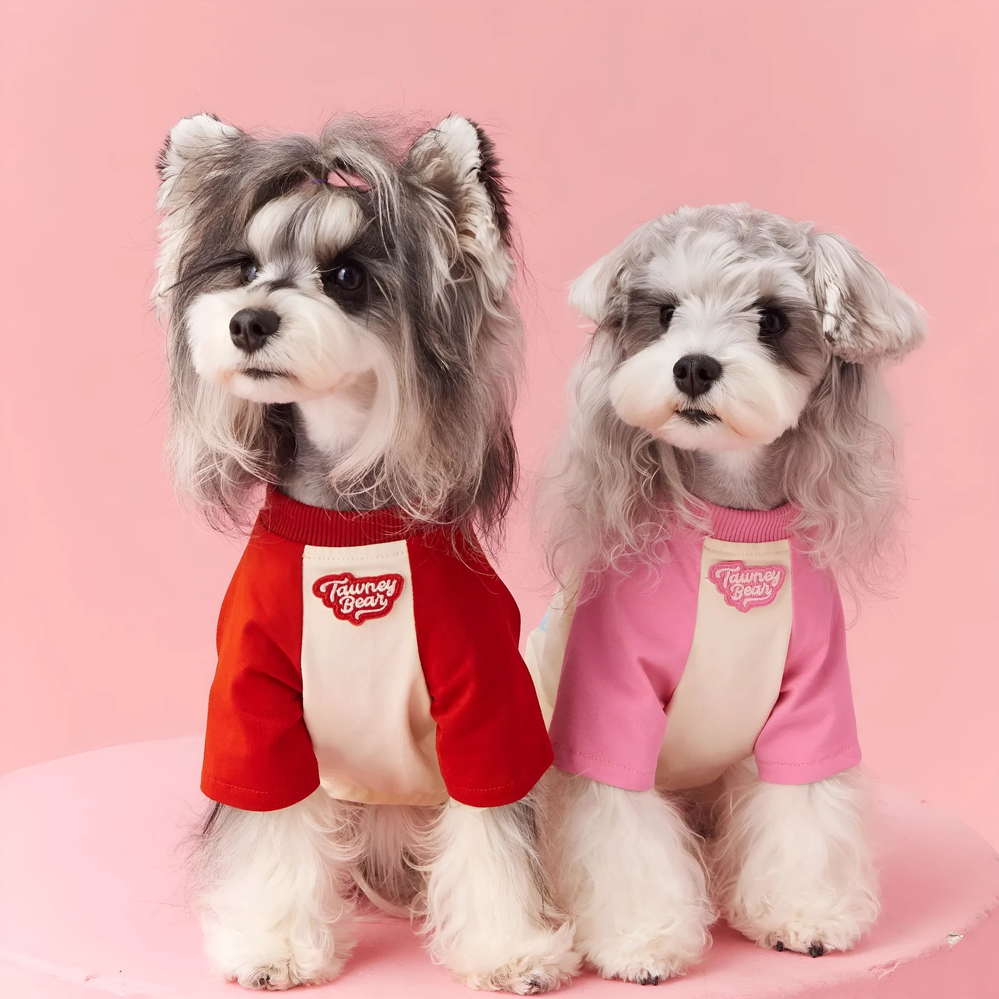 Cotton summer dog clothing with contrasting embroidery in sizes XS to XXL
