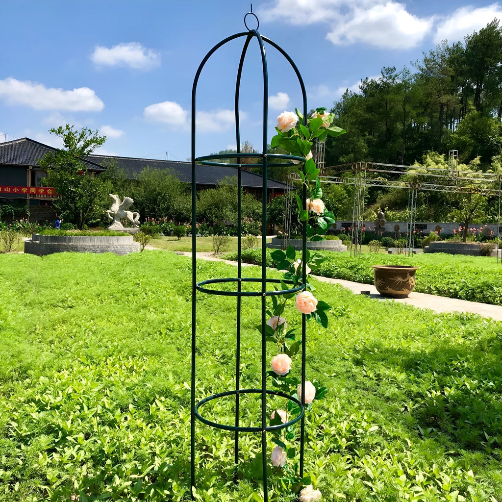 Dark green wrought iron plant climbing frame lattice standing on floor next to potted vine.