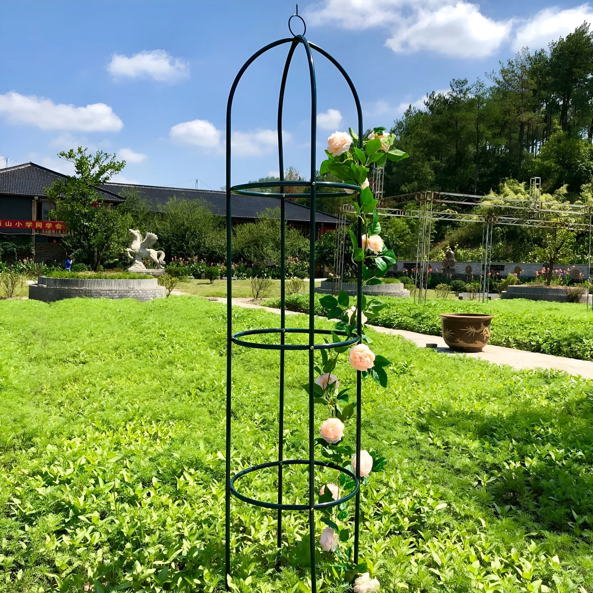 Dark green wrought iron plant climbing frame lattice standing on floor next to potted vine.