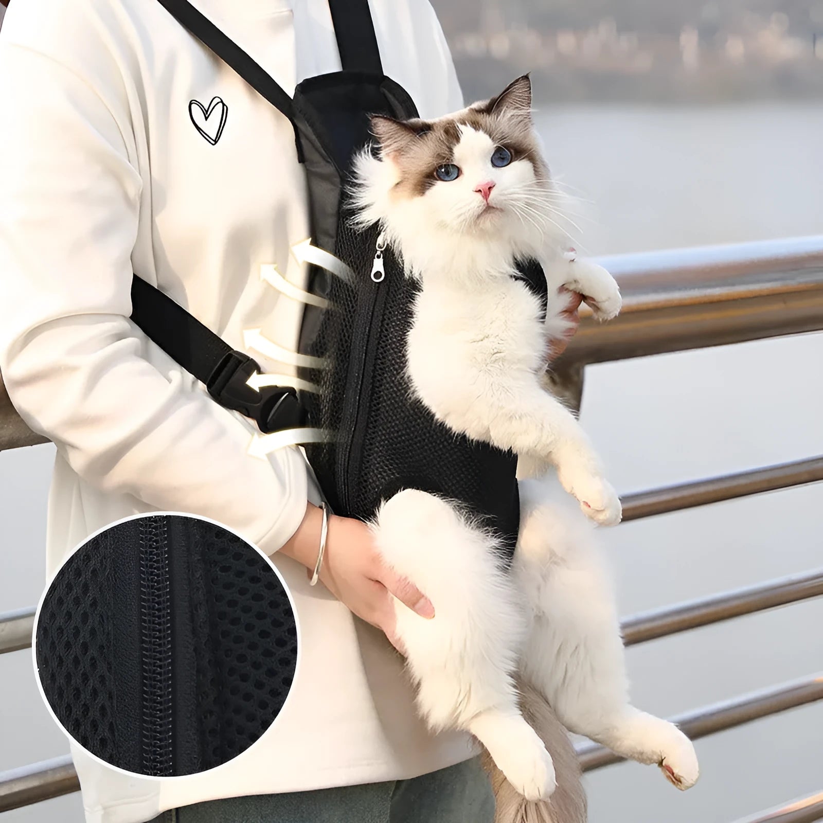 A black adjustable dog carrier backpack worn on a person's back, showing mesh panels and straps, suitable for a small dog.