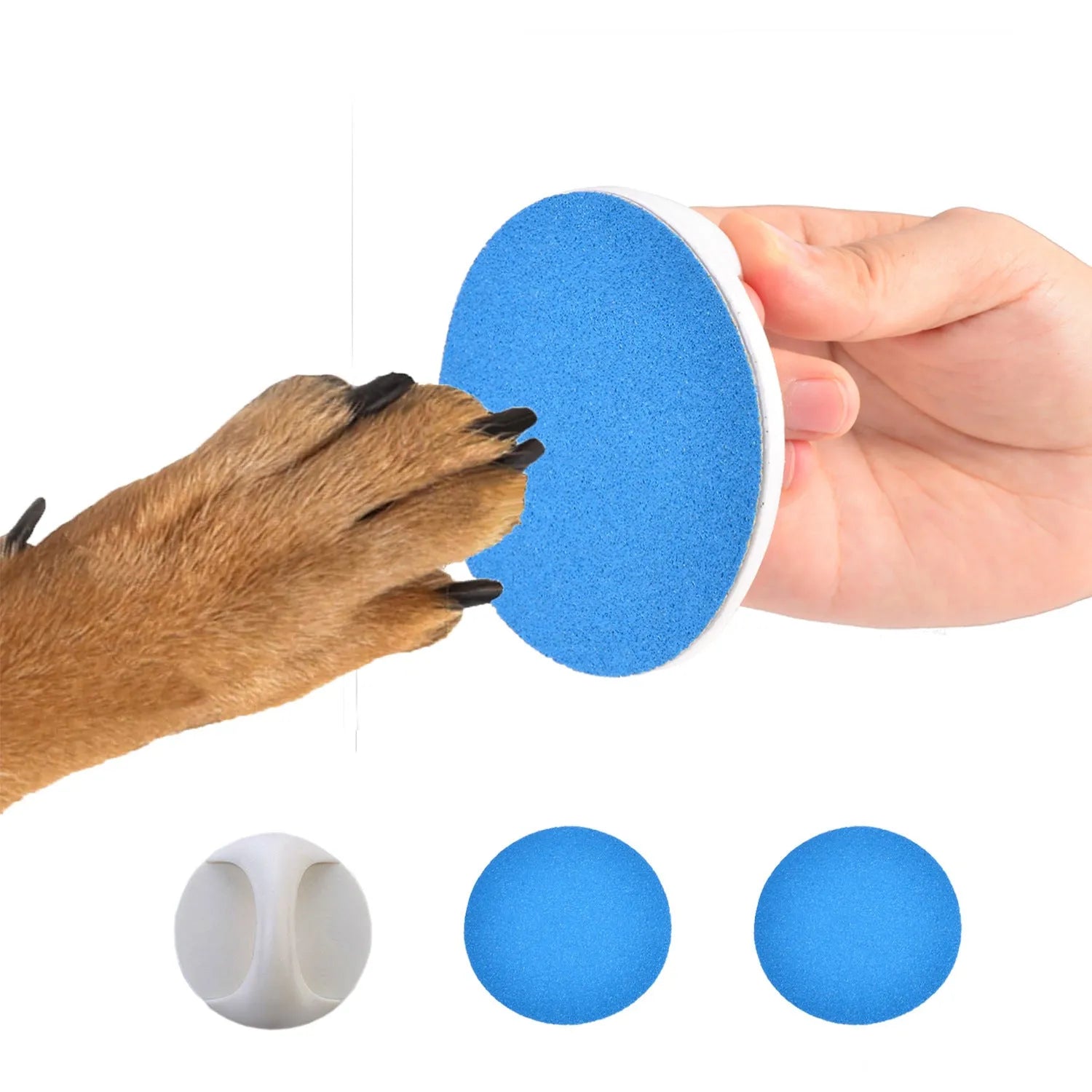Upgraded dog nail file scratch board with ergonomic handle in blue, green, yellow, or black colour.