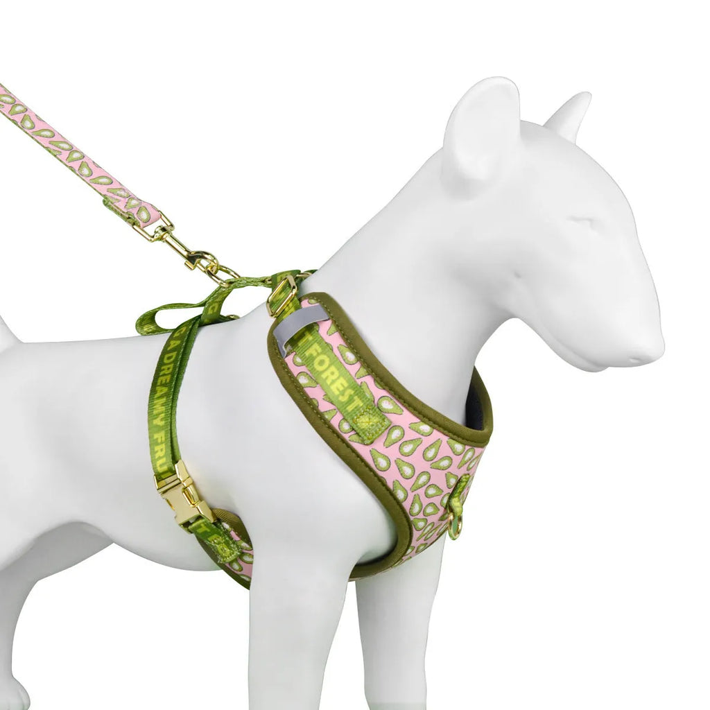 Colourful polyester dog harness and lead set for medium and large breeds on a white background.
