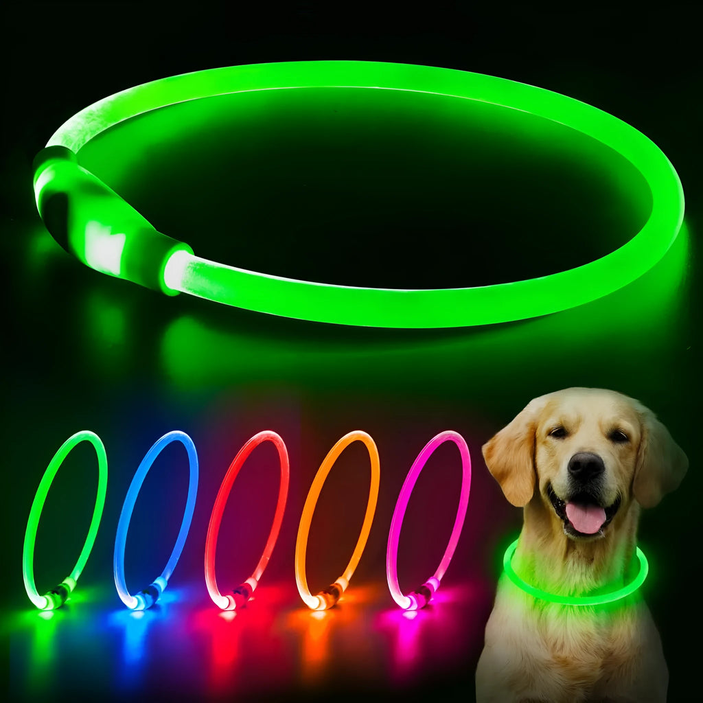 Blue USB rechargeable LED dog collar with glowing light on adjustable TPU strap