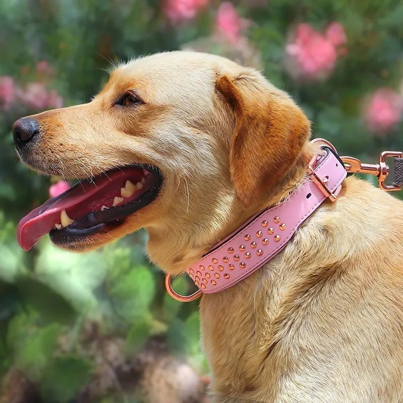 Black leather dog collar with metal anti-bite rivets shown on a size L tag.