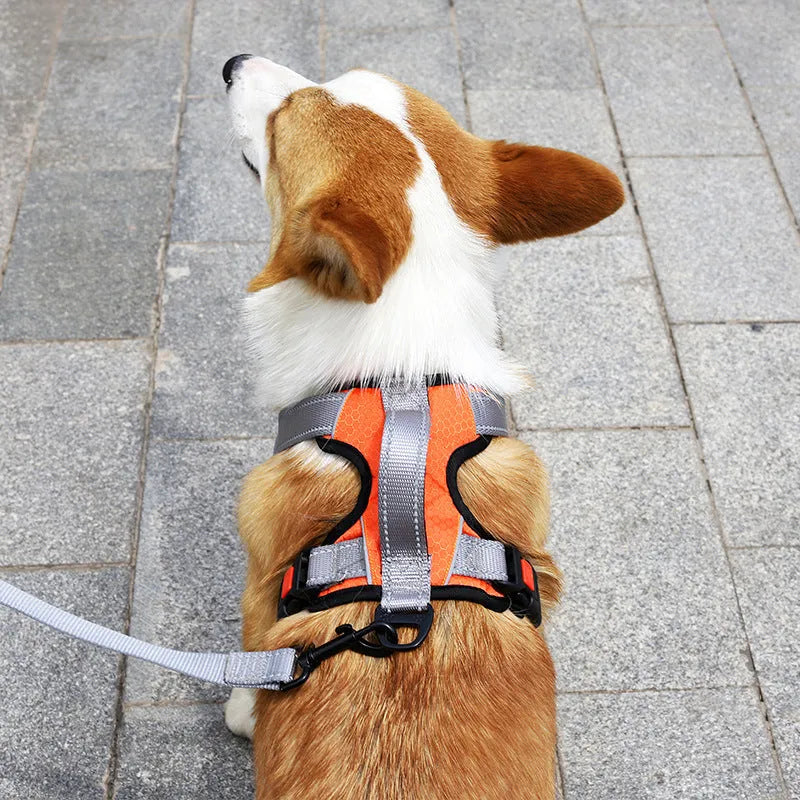 Polyester dog chest strap vest with optional hand-held rope in various colours for medium to extra-large dogs