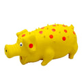 Latex pig-shaped dog chew toy in multiple colours with textured surface for teeth cleaning