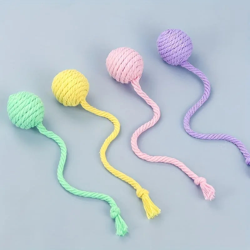 Colourful cat toy ball with rope attachment and internal bell for interactive kitten play