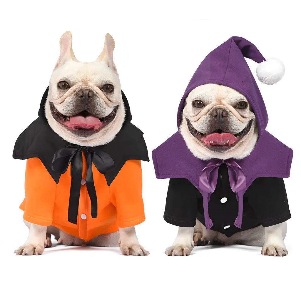 Halloween pumpkin dog sweater and shawl set in black and orange colours