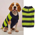 Grey dog sweater with a horizontal zipper and button pocket on a small dog.