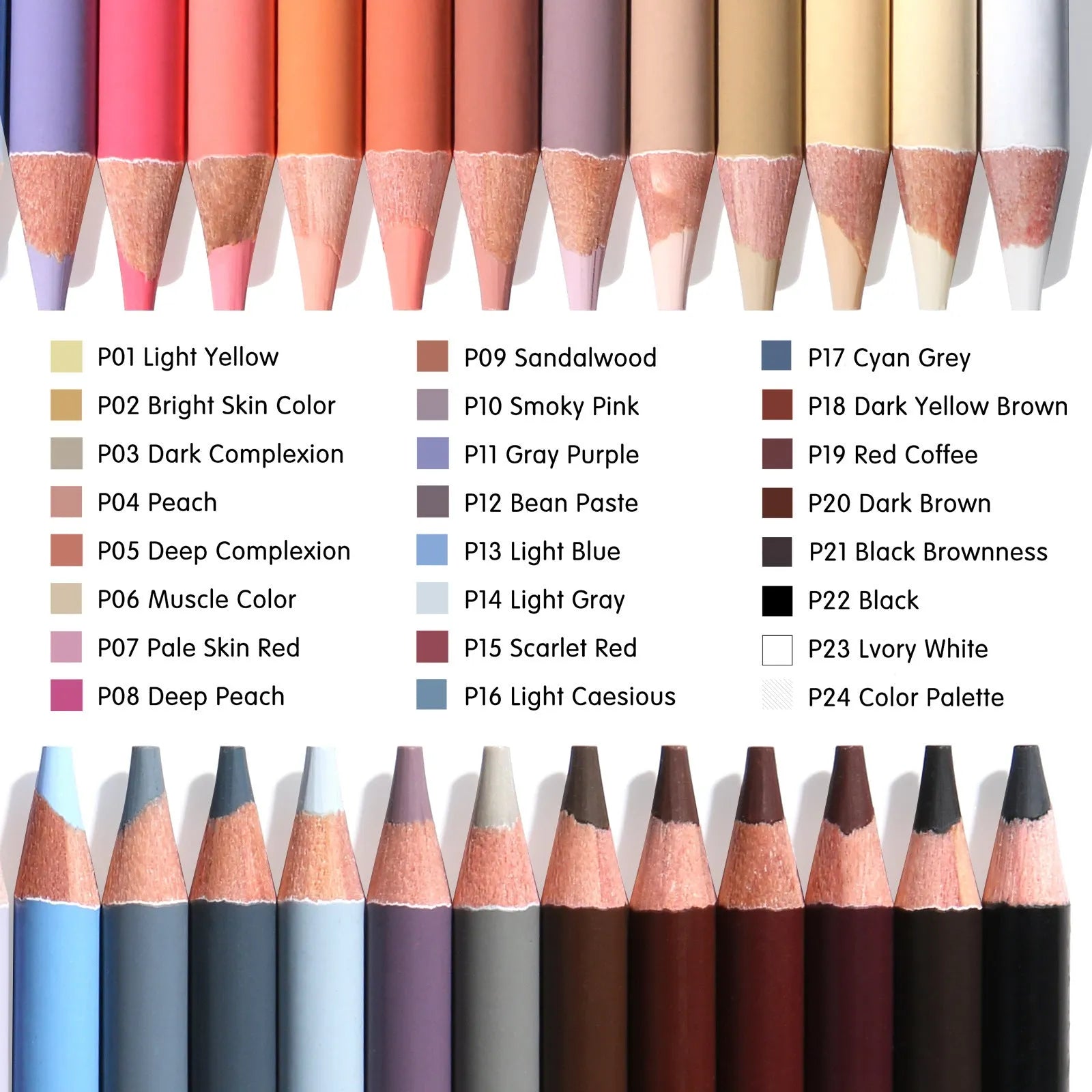 24 skin tone colour pencils for portrait artwork in round brush pot with iron box