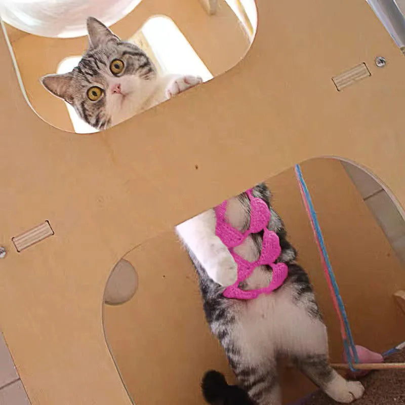 Cat wearing bikini costume in multiple colour options for festival parties