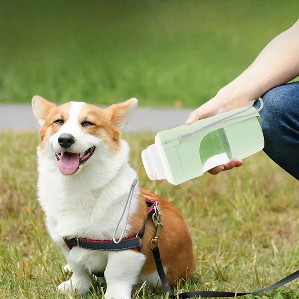 Grey 2-in-1 portable dog water bottle and food feeder with lanyard attached