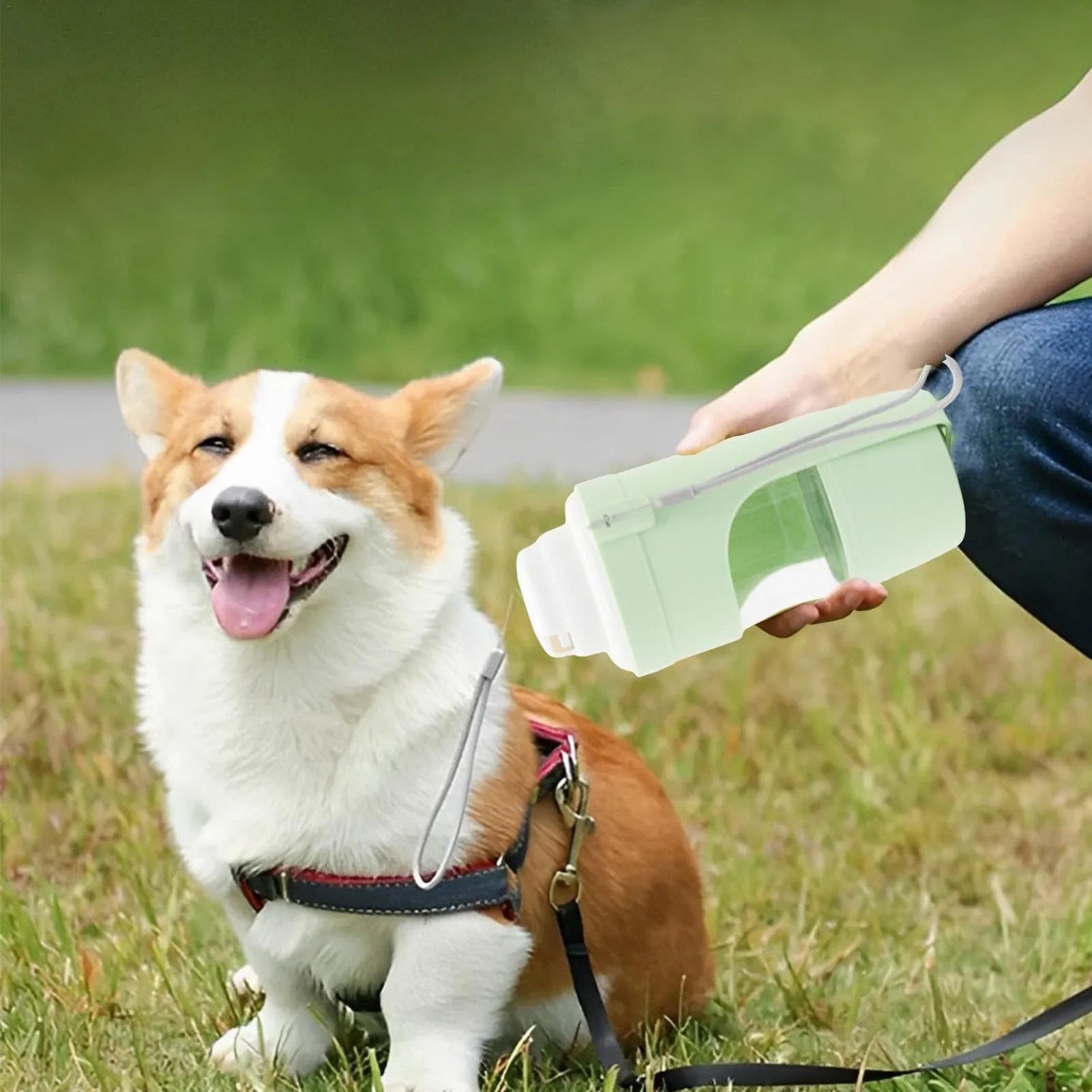 Grey 2-in-1 portable dog water bottle and food feeder with lanyard attached