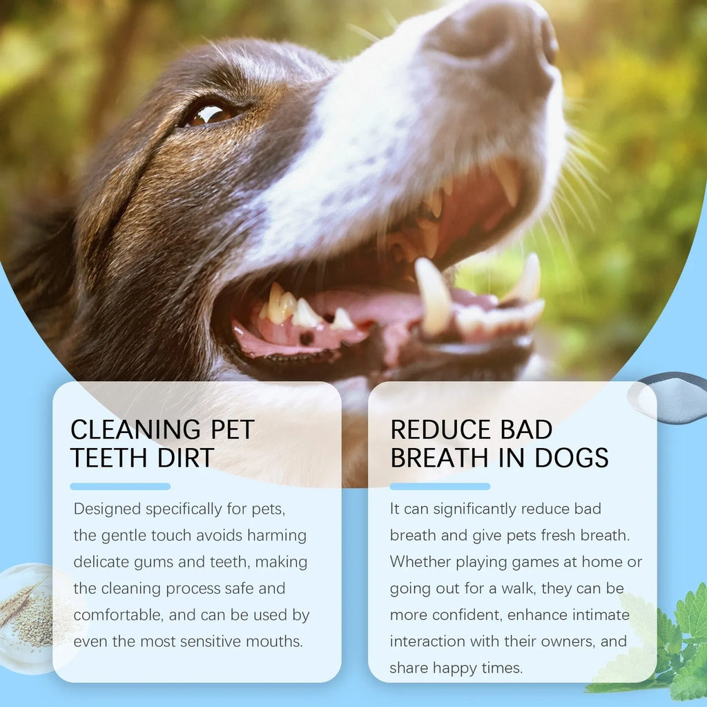 Soft Breath Care pet toothbrush pen with 3ml toothpaste for dogs and cats