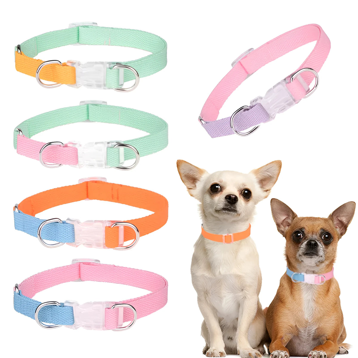 Polyester ribbon dog collar set with hand holding rope and chest strap in coordinated colours