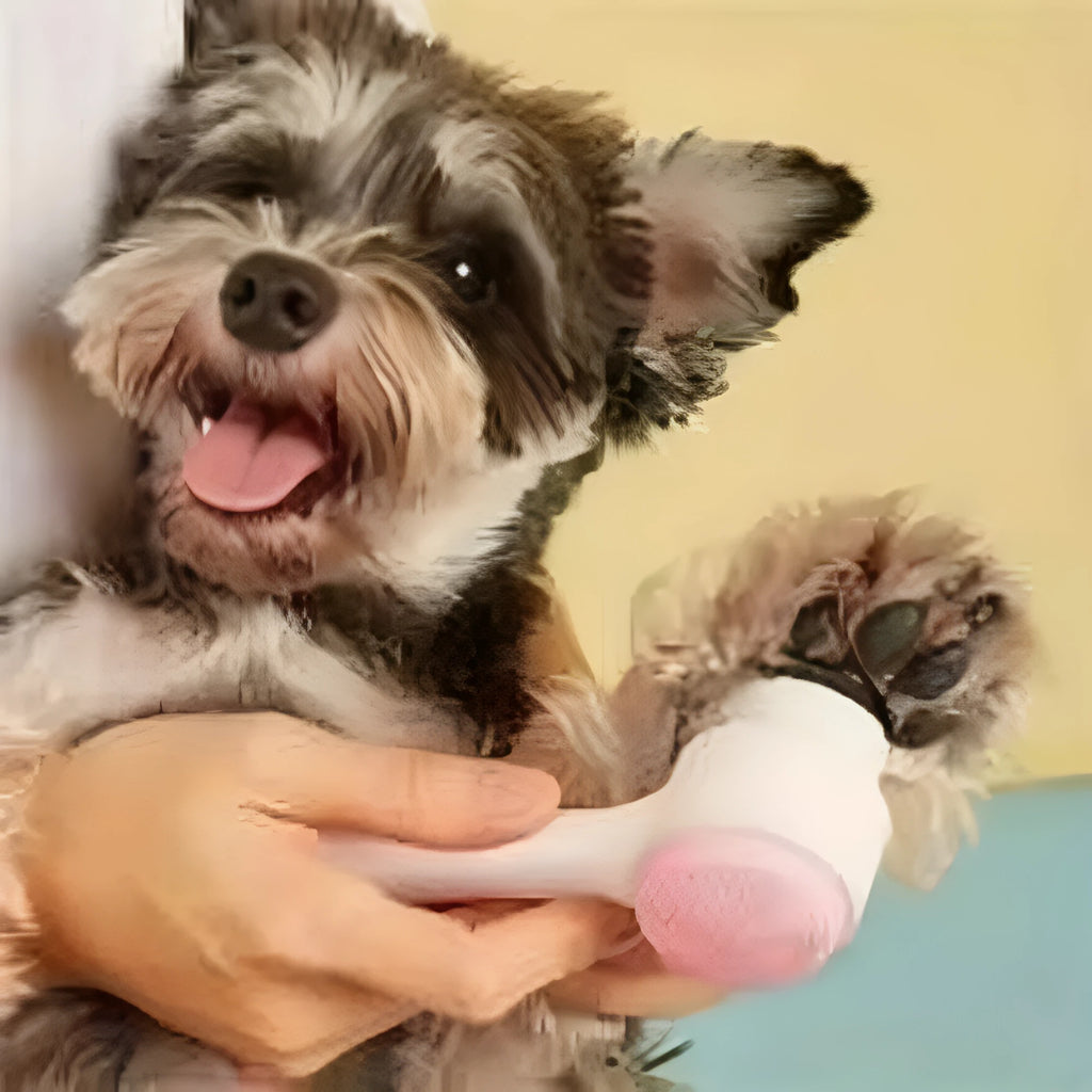 Blue nylon pet grooming brush with gentle bristles for dog and cat coat massage