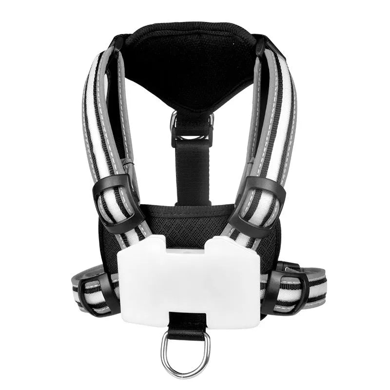 Nylon luminous dog charging leash with seven-colour LED pattern and explosion-proof hand holding rope