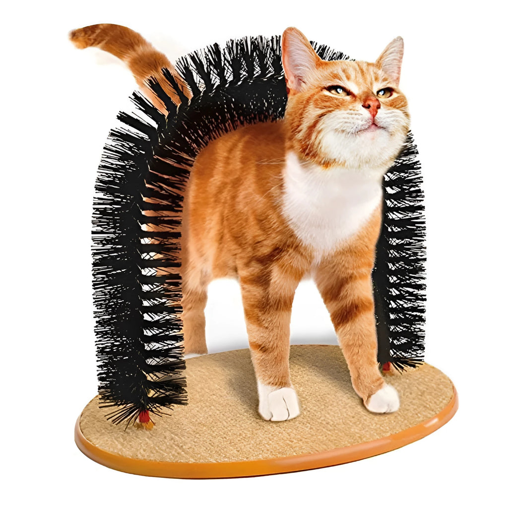 Arched plastic cat grooming station with built-in brush bristles for scratching and rubbing