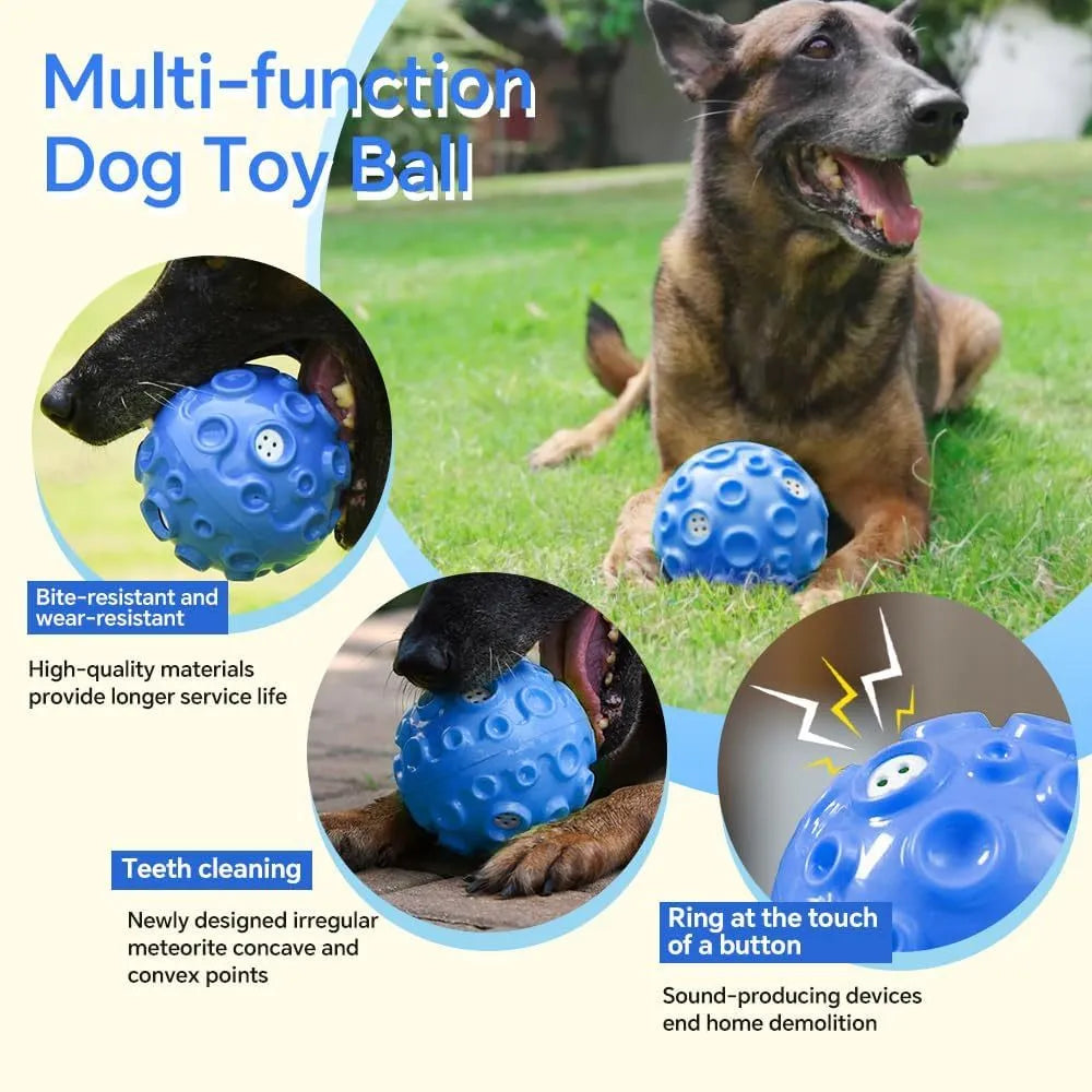 Colourful rubber dog toy ball with textured surface for chewing and teeth cleaning