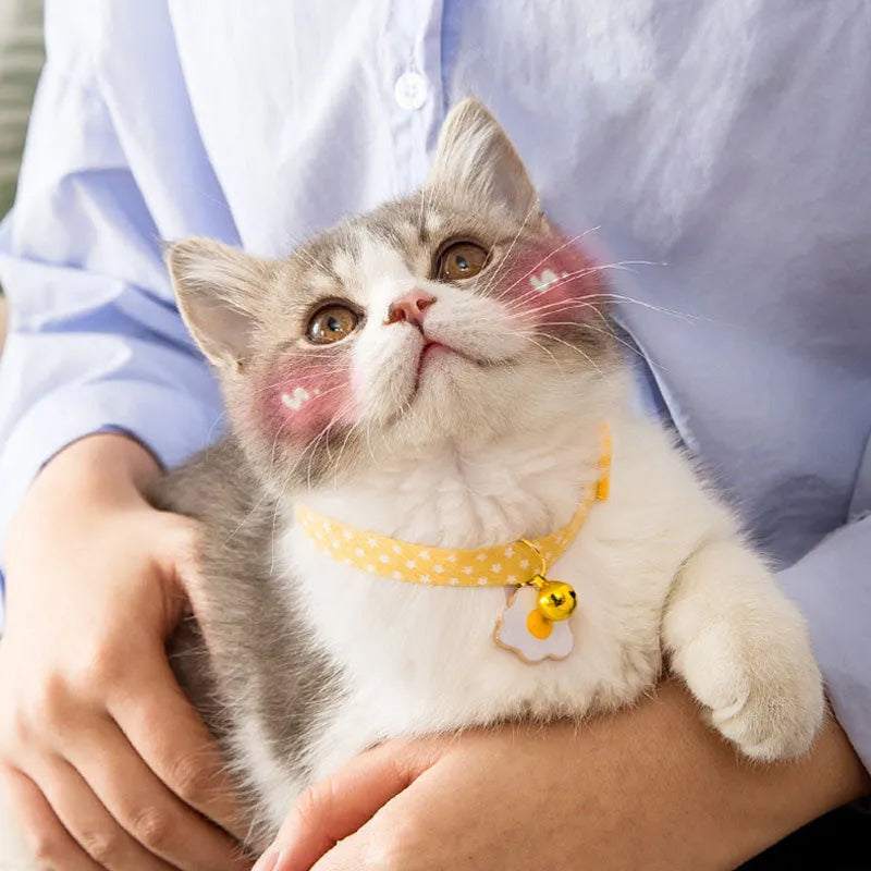 Green adjustable cat collar with a silver bell and a matching bow tie on a white background