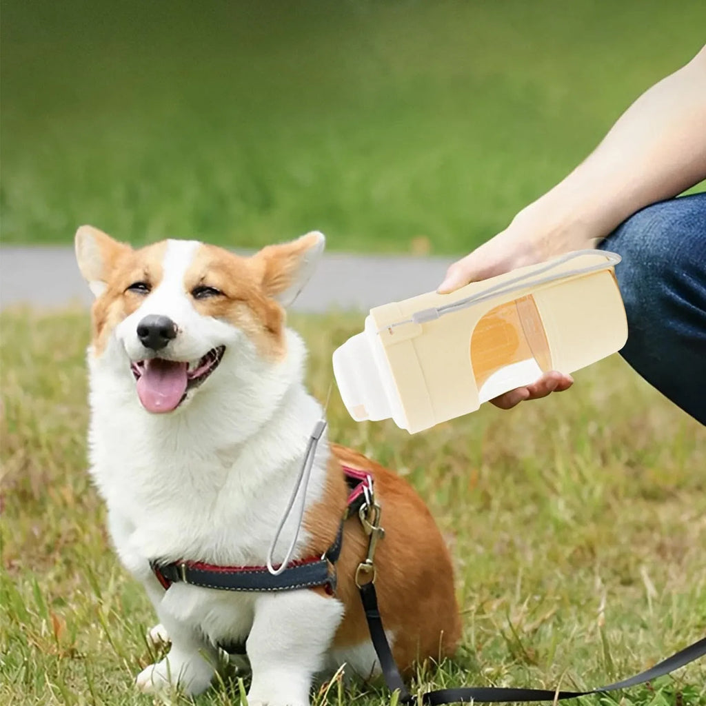 Grey 2-in-1 portable dog water bottle and food feeder with lanyard attached