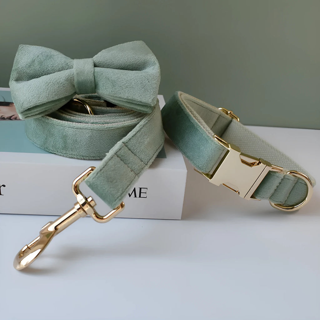 Mint green velvet dog collar and leash set with bow tie, sizes S to XL, leisure style for dogs