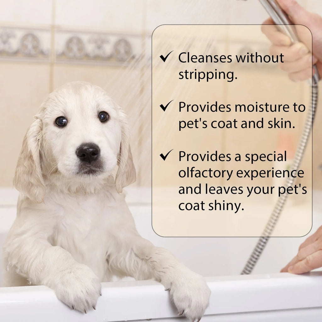 Mild pet shampoo bottle for dogs in 100ml and 300ml sizes for gentle coat cleaning and tangle prevention