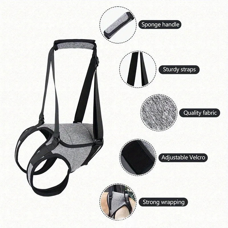 Grey neoprene recovery belt for dog rear leg support showing adjustable sizing